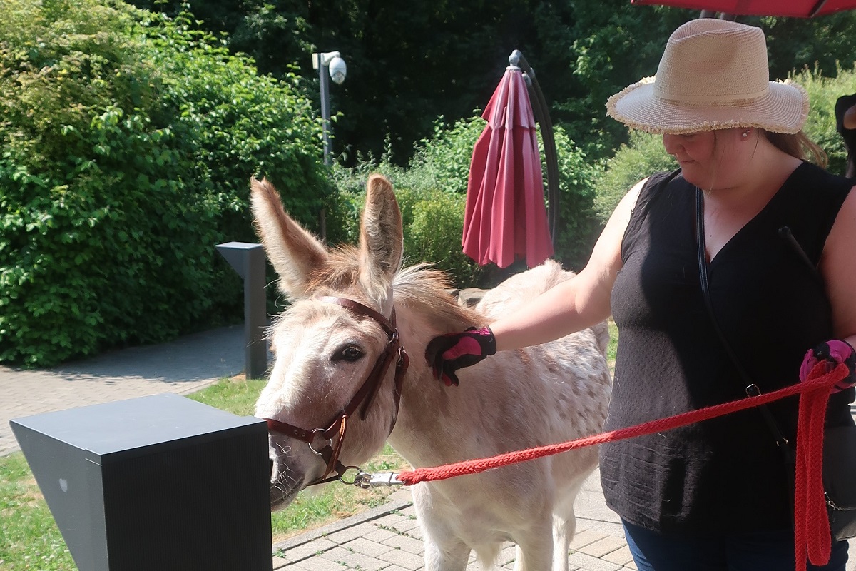 072023Eselbesuch37